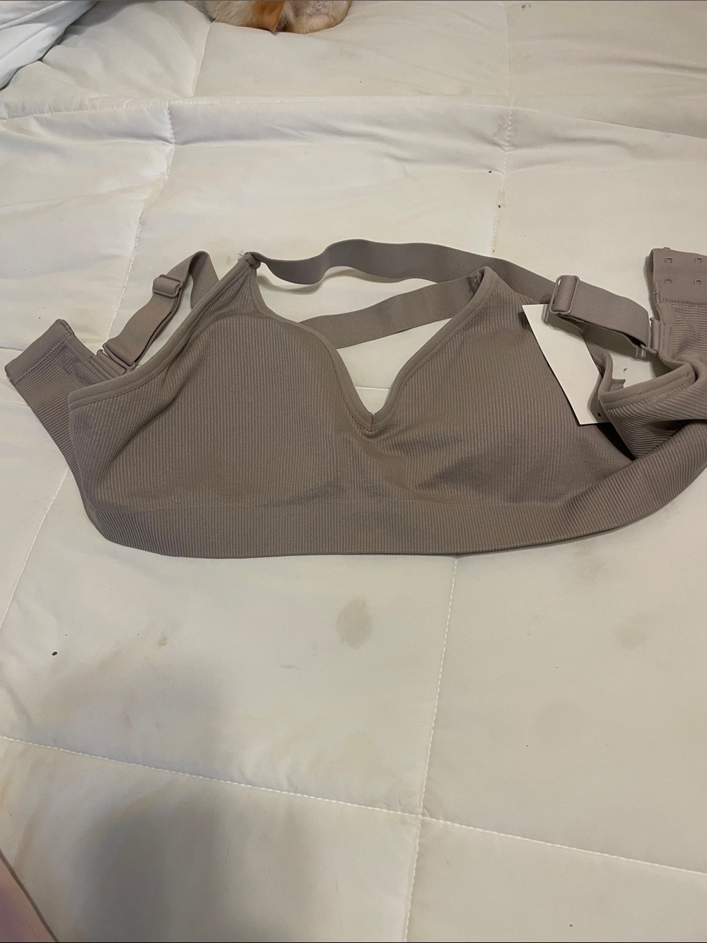 Avia Ribbed Wireless Sports Bra in Taupe